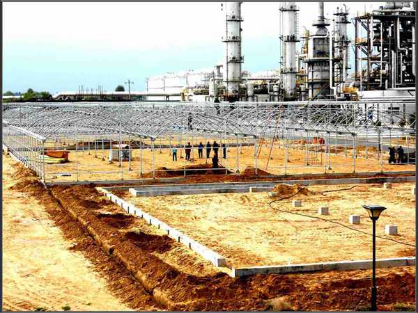 烏蘭察布微藻項目